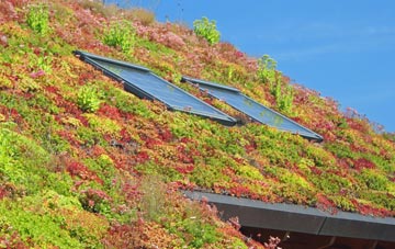 Hursley living roof systems