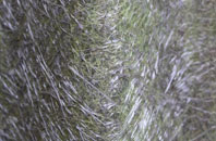 Hursley fibreglass roof work